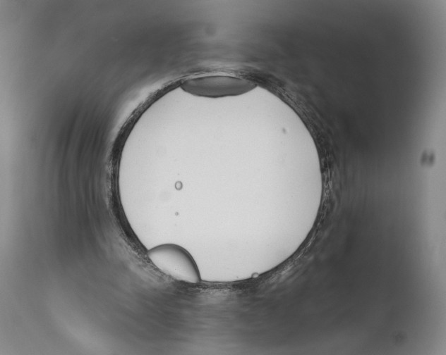 X0000110740342200907131126
