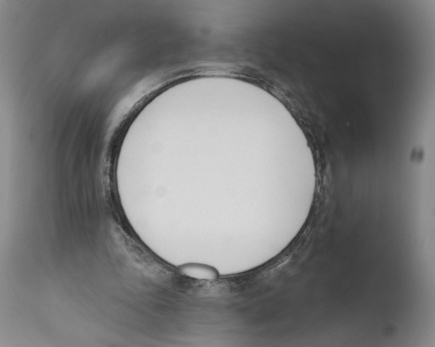X0000110740343200907131126