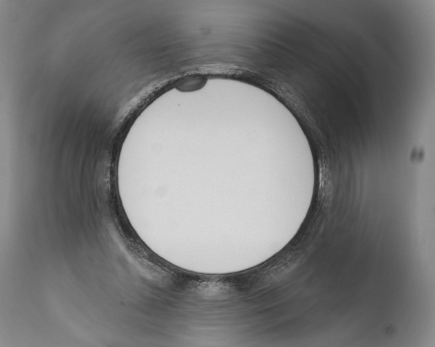 X0000110740348200907131126