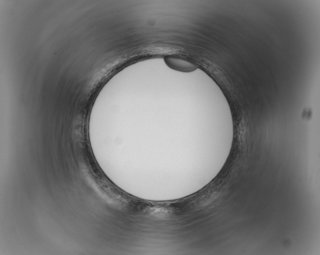 X0000110740352200907131126