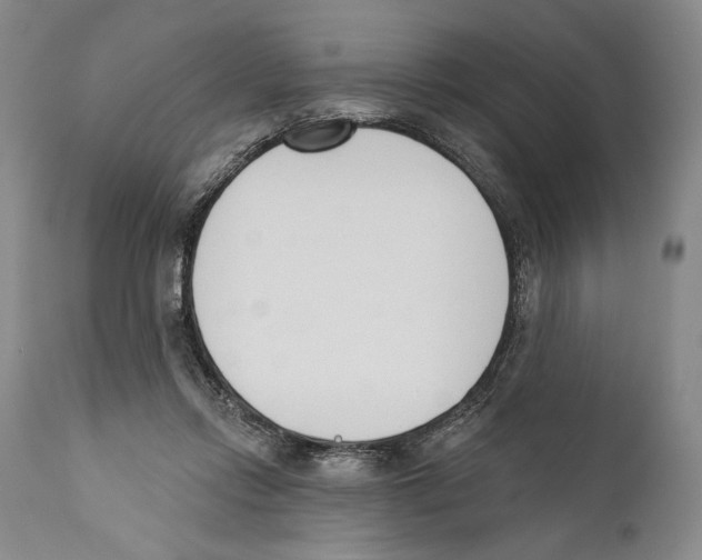 X0000110740358200907131126