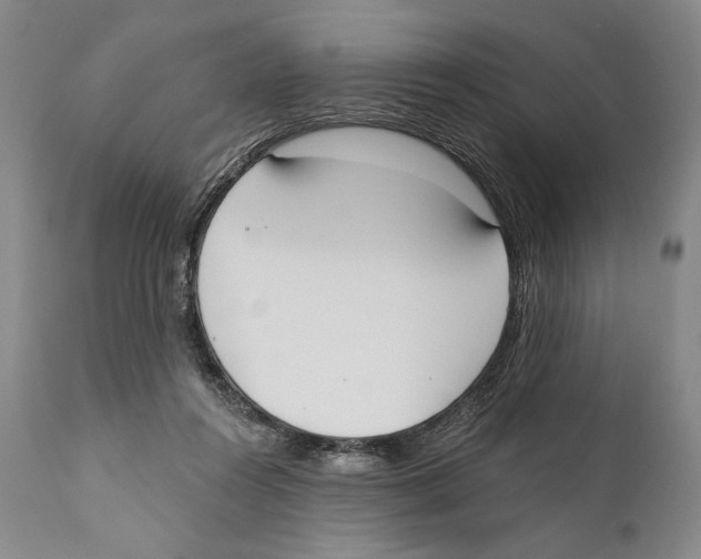 X0000110740360200907131126