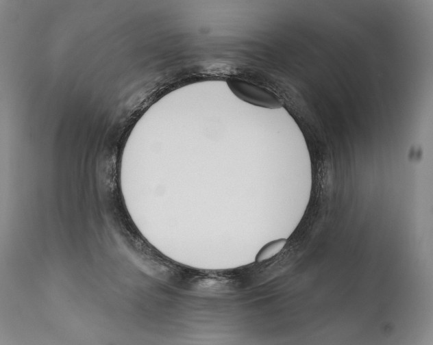 X0000110740364200907131126