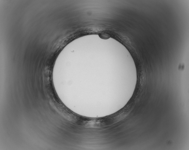X0000110740366200907131126