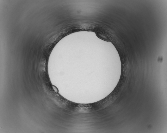 X0000110740368200907131126