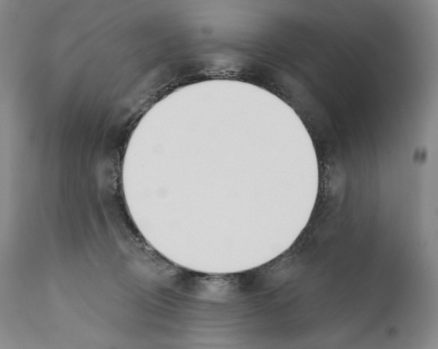 X0000110740370200907131126