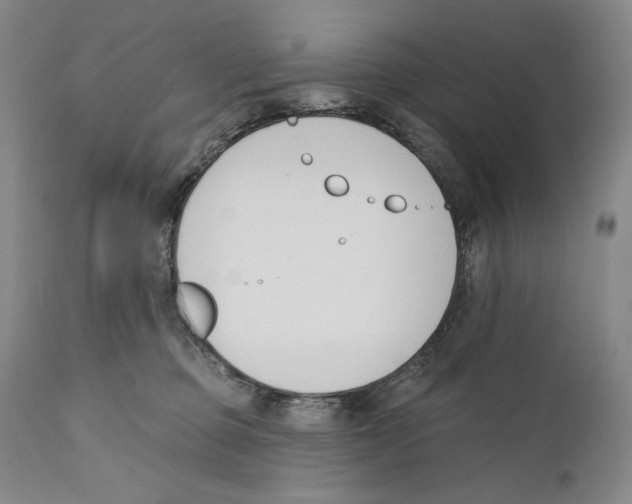 X0000110740373200907131126