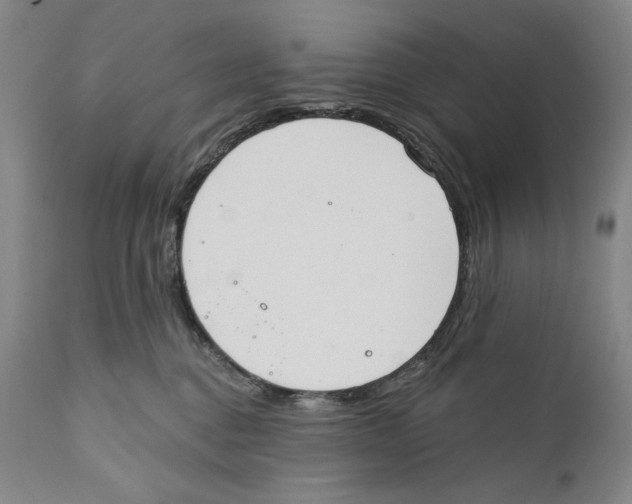 X0000110740376200907131126