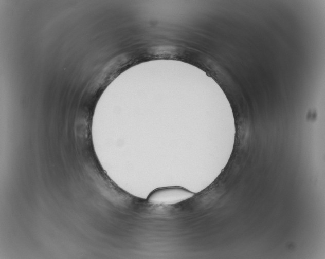 X0000110740379200907131126