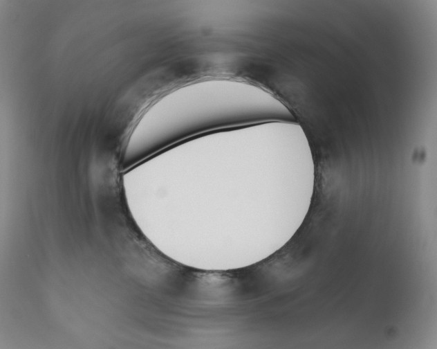 X0000110740380200907131126