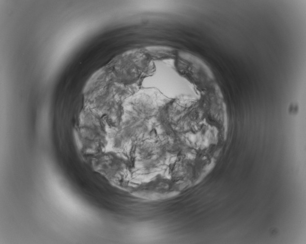 X0000110740381200907131126