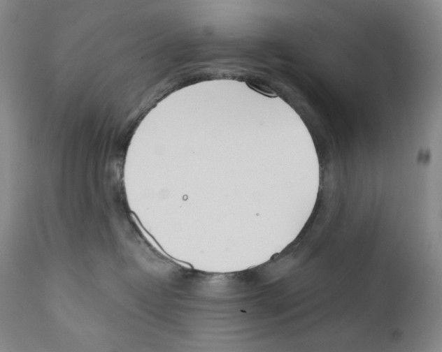 X0000110740382200907131126