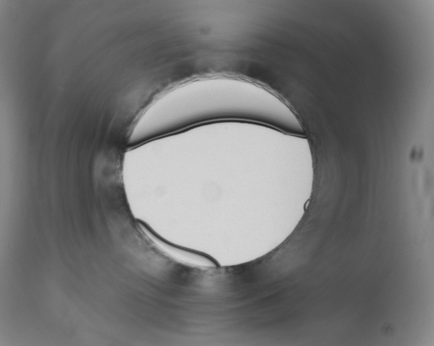 X0000110740384200907131126
