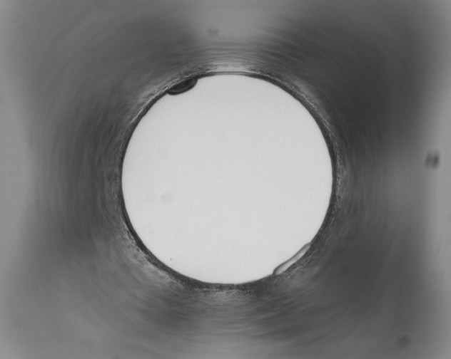 X0000110740385200907131126