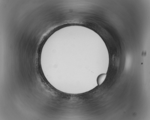 X0000110740388200907131125