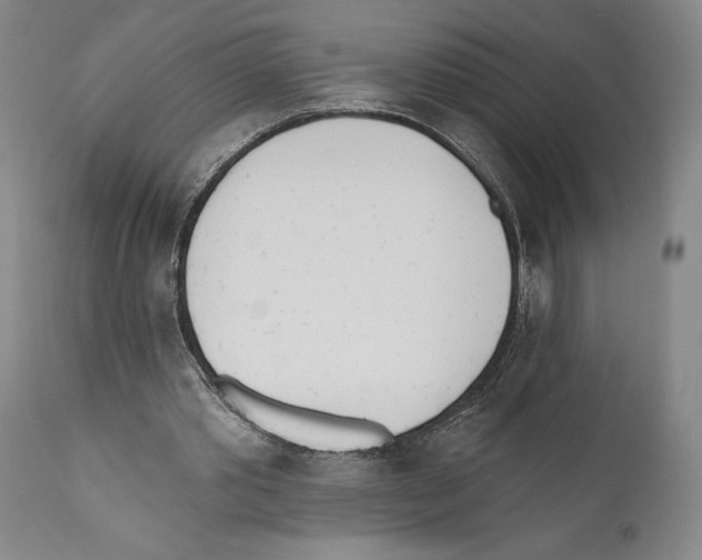 X0000110740389200907131125