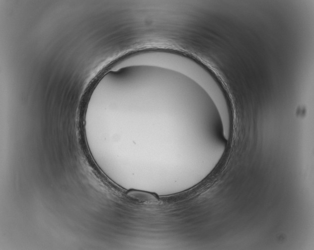 X0000110740391200907131125
