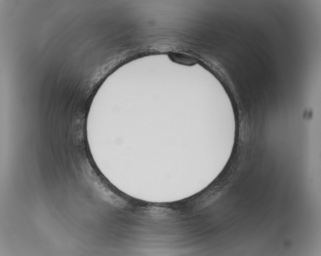 X0000110740393200907131125