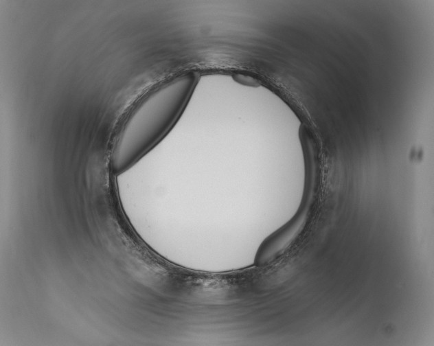 X0000110740395200907131125
