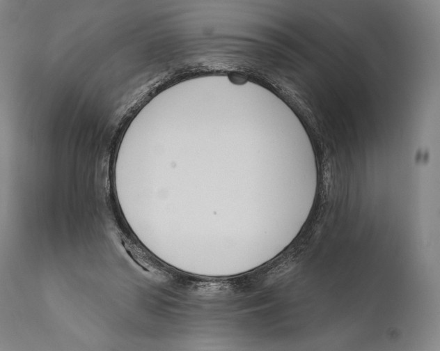 X0000110740398200907131125