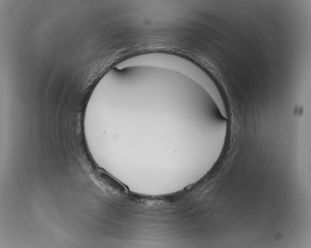 X0000110740401200907131125