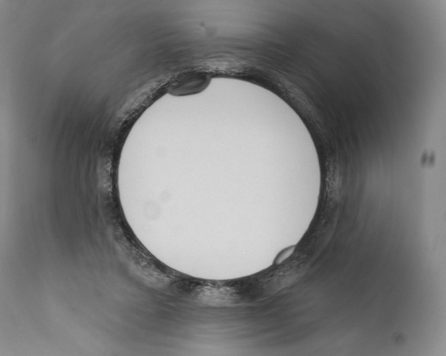 X0000110740403200907131125