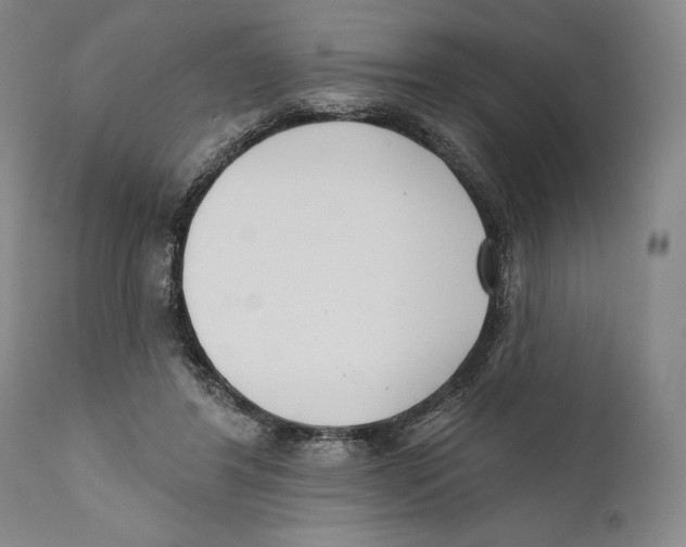 X0000110740404200907131125