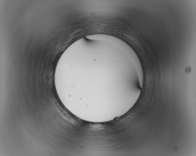X0000110740409200907131125