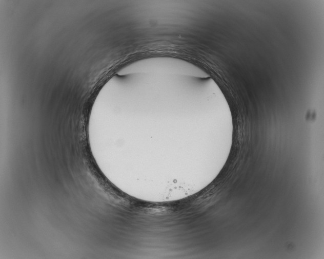 X0000110740411200907131125