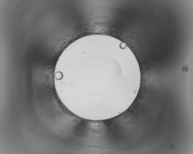 X0000110740415200907131125
