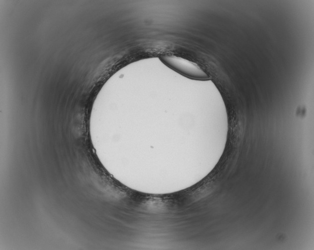 X0000110740416200907131125