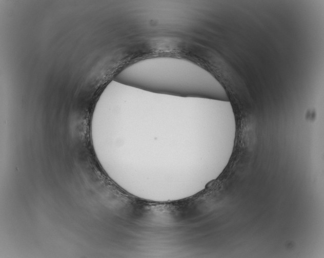 X0000110740417200907131125