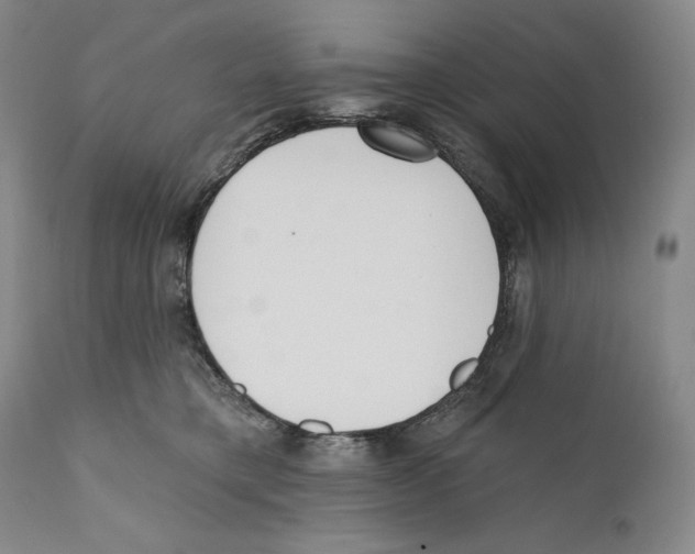 X0000110740421200907131125