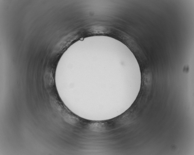 X0000110740422200907131125
