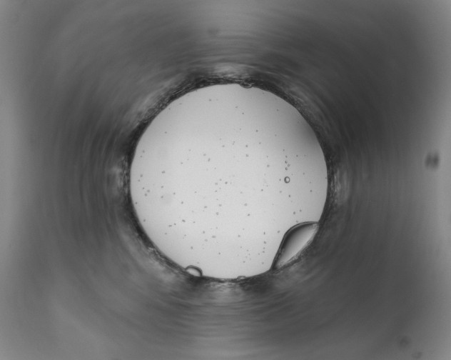 X0000110740424200907131125