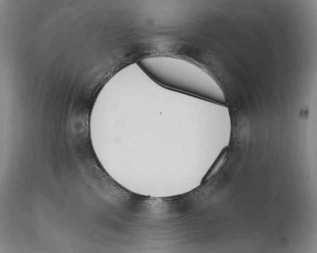 X0000110740425200907131125