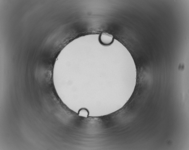 X0000110740427200907131125
