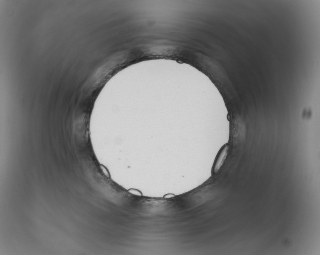 X0000110740428200907131125