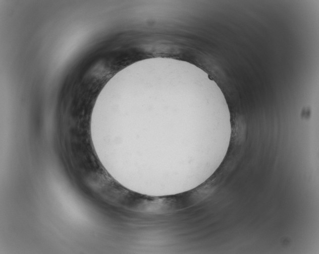 X0000110740430200907131125