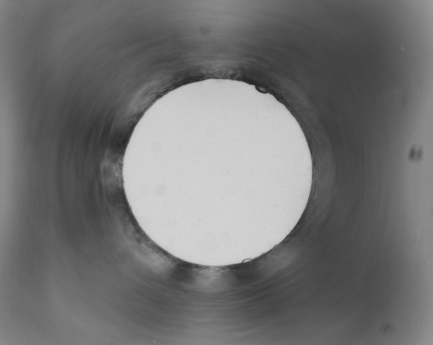 X0000110740432200907131125