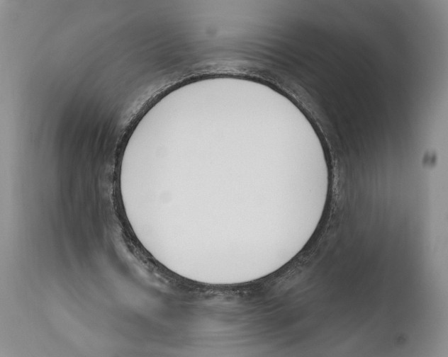 X0000110740434200907131124
