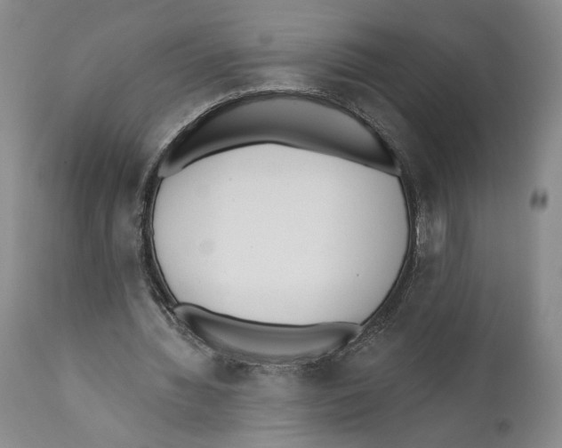 X0000110740436200907131124