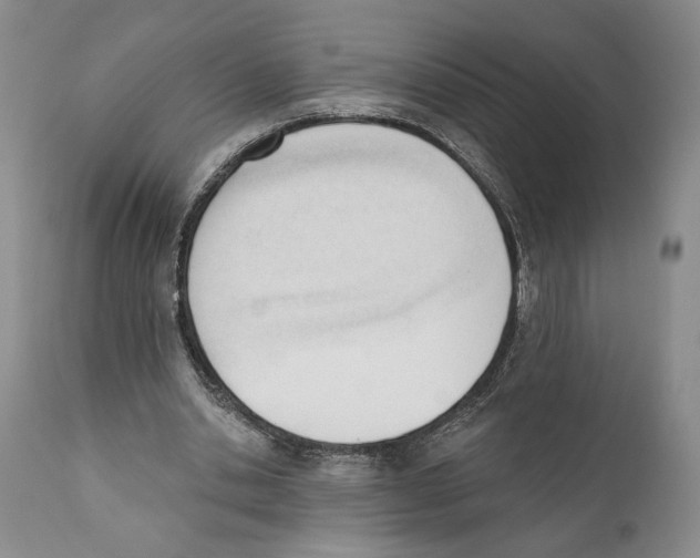X0000110740438200907131124