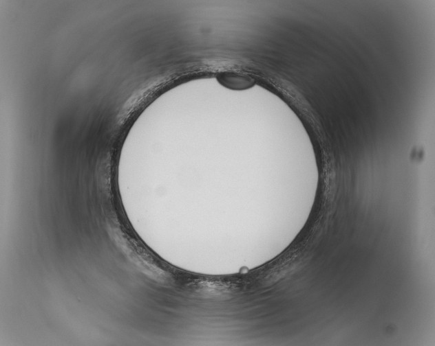 X0000110740442200907131124