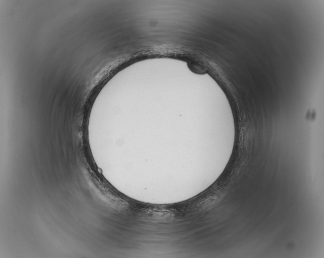 X0000110740443200907131124