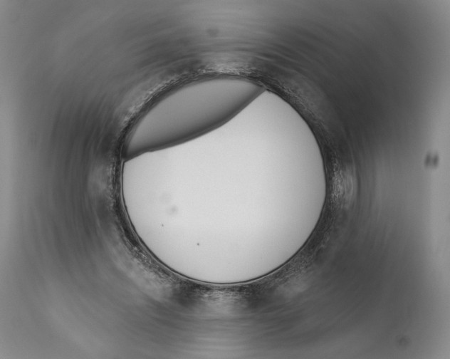 X0000110740444200907131124