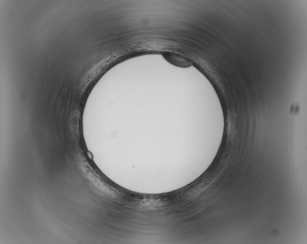 X0000110740445200907131124