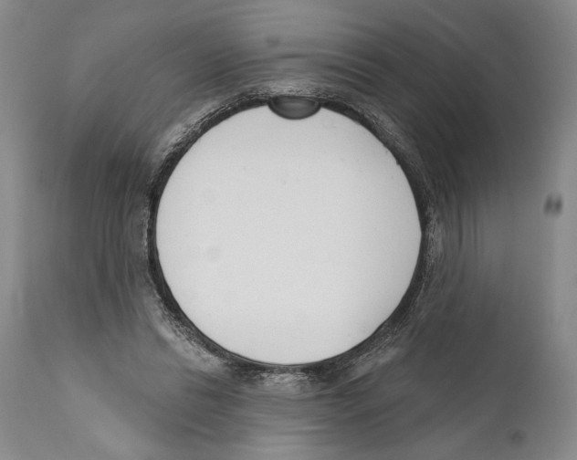 X0000110740446200907131124