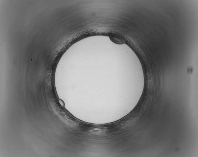 X0000110740447200907131124