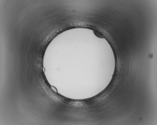 X0000110740449200907131124